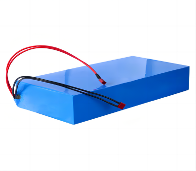 48V 17.5AH Rechargeable Li-Ion Battery Pack
