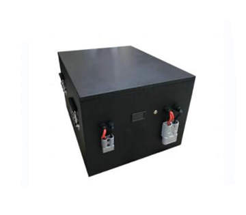 60V 80Ah LiFePo4 Battery With 100A BMS For Tricycle Caravan AGV